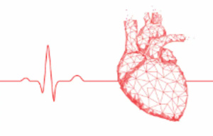 Comment réguler sa fréquence cardiaque ? Comment réguler sa fréquence cardiaque ?