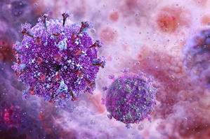 Virus Epstein-Barr : discret, répandu… et surprenant Virus Epstein-Barr : discret, répandu… et surprenant