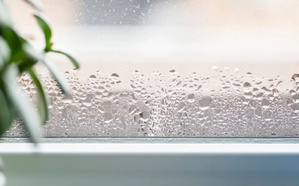 Humidité : quand vos murs prennent l’eau, voici comment riposter