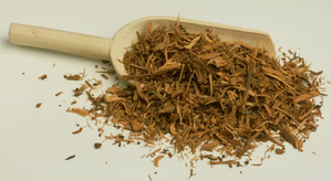 Le ratanhia : une racine médicinale aux vertus insoupçonnées