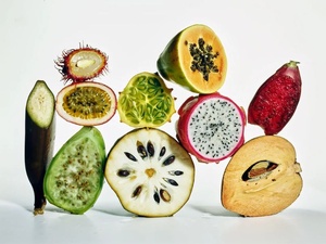 Fibermaxxing : la nouvelle obsession santé qui révolutionne notre assiette Fibermaxxing : la nouvelle obsession santé qui révolutionne notre assiette