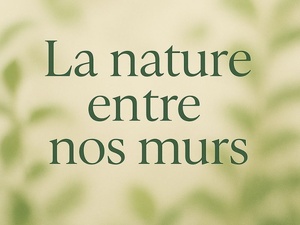 Les plantes qui dépolluent vraiment nos intérieurs Les plantes qui dépolluent vraiment nos intérieurs