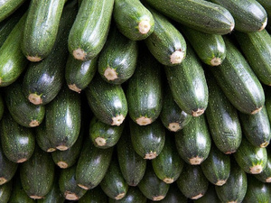 Le Maroc brille sur le marché des courges