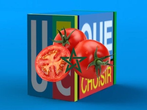 Tomates marocaines : À quoi joue l’association française UFC-Que Choisir ? Tomates marocaines : À quoi joue l’association française UFC-Que Choisir ?