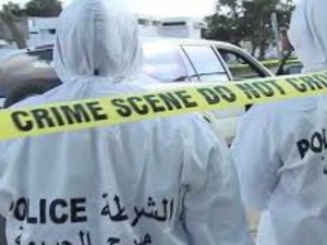 Du fait divers à “l’affaire” : anatomie d’une bascule politique Du fait divers à “l’affaire” : anatomie d’une bascule politique