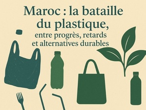 Maroc : la bataille du plastique, entre progrès, retards et alternatives durables Maroc : la bataille du plastique, entre progrès, retards et alternatives durables