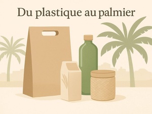 Du plastique au palmier : les nouvelles innovations marocaines pour un emballage durable Du plastique au palmier : les nouvelles innovations marocaines pour un emballage durable