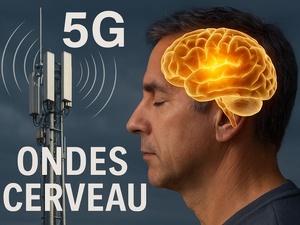 La 5G : Le cerveau humain exposé aux ondes : que sait-on scientifiquement ? La 5G : Le cerveau humain exposé aux ondes : que sait-on scientifiquement ?