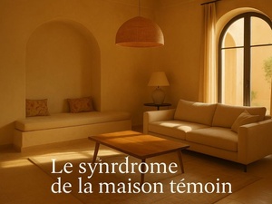 Le syndrome de la maison témoin ou l’illusion du bonheur bien rangé Le syndrome de la maison témoin ou l’illusion du bonheur bien rangé