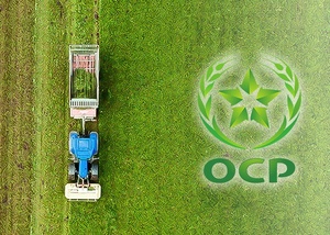 OCP innove avec un nouvel engrais hybride pour le marché européen