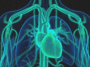 Un coup d’éclat thérapeutique : la thérapie CRISPR qui coupe le « mauvais » cholestérol en deux Un coup d’éclat thérapeutique : la thérapie CRISPR qui coupe le « mauvais » cholestérol en deux