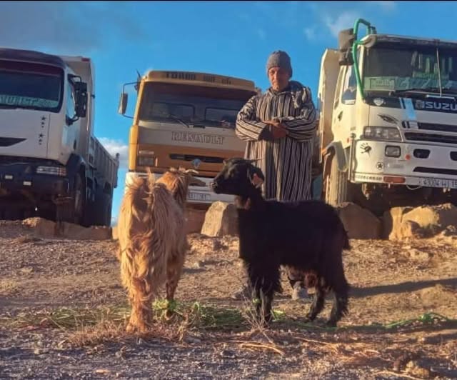 La chèvre de Monsieur Moha