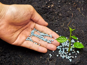 Le Maroc s’impose comme fournisseur stratégique d’engrais pour le Brésil Le Maroc s’impose comme fournisseur stratégique d’engrais pour le Brésil