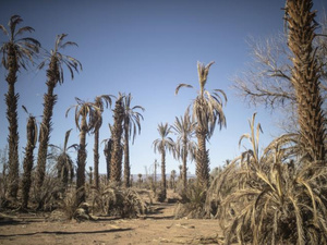 La Banque mondiale débloque 200 M$ pour renforcer la résilience climatique du Maroc La Banque mondiale débloque 200 M$ pour renforcer la résilience climatique du Maroc