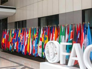 Réélu au Conseil du PAM, le Maroc consolide sa stratégie d’influence sur les politiques alimentaires en Afrique