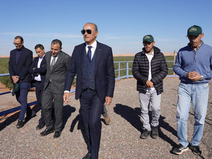 Lesieur Cristal : un investissement stratégique pour l’économie oléicole marocaine Lesieur Cristal : un investissement stratégique pour l’économie oléicole marocaine