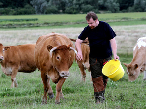 Comment le Crédit Agricole du Maroc irrigue l’agriculture nationale : une inclusion qui prend racine Comment le Crédit Agricole du Maroc irrigue l’agriculture nationale : une inclusion qui prend racine