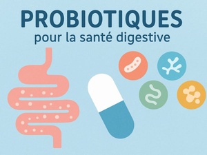 Probiotiques et transit intestinal