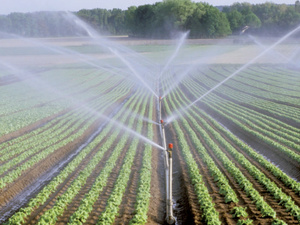 Maroc: Une économie résiliente face aux défis hydriques, portée par l’agriculture, le tourisme et l’investissement