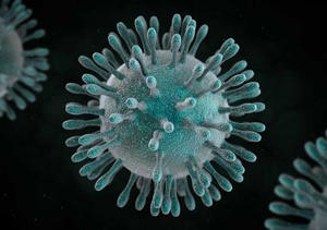 Virus MERS : ce qu’il faut savoir pour se protéger cet hiver