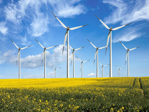 Maroc : l’éolien propulse une transition énergétique inédite vers un mix électrique durable