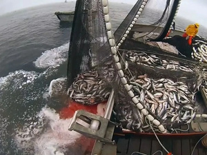 Accords de pêche avec l’UE : Maroc et Mauritanie, 75% des financements