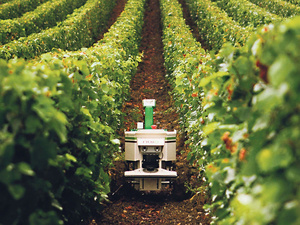 Taza: près de 200 MDH mobilisés pour une agriculture durable et inclusive sous la bannière Génération Green Taza: près de 200 MDH mobilisés pour une agriculture durable et inclusive sous la bannière Génération Green