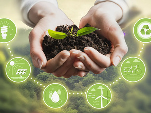 Gouvernance environnementale et ressources génétiques : le pari marocain d’une économie verte ancrée dans les territoires