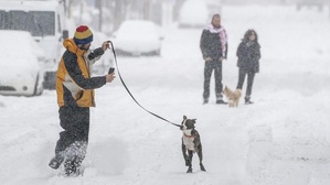 Cette vague de froid polaire qui s'abat sur Terre