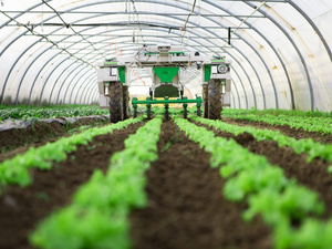 Génération Green à mi-parcours : quels bilans pour l’agriculture marocaine ? Génération Green à mi-parcours : quels bilans pour l’agriculture marocaine ?