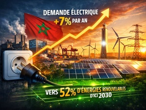​Et si la croissance se lisait dans les prises électriques ?