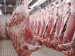 L'Observatoire du consommateur alerte sur des pratiques trompeuses L'Observatoire du consommateur alerte sur des pratiques trompeuses