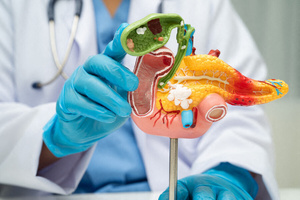 Pancréas : un espoir inattendu contre le cancer le plus coriace Pancréas : un espoir inattendu contre le cancer le plus coriace