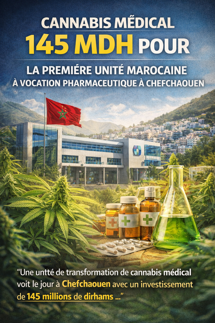 Cannabis médical : 145 MDH pour la première unité marocaine à vocation pharmaceutique à Chefchaouen.