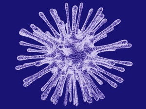 Le virus Epstein-Barr : un acteur majeur dans l’origine des maladies auto-immunes ? Le virus Epstein-Barr : un acteur majeur dans l’origine des maladies auto-immunes ?