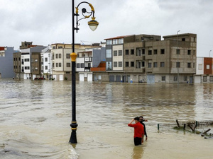 Inondations dans le Gharb : le bétail en danger, les agriculteurs lancent un cri d’alarme Inondations dans le Gharb : le bétail en danger, les agriculteurs lancent un cri d’alarme
