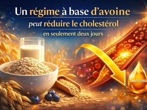 Un régime à base d’avoine peut réduire le cholestérol en seulement deux jours. Un régime à base d’avoine peut réduire le cholestérol en seulement deux jours.