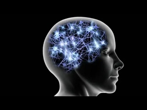 Le QI du cerveau est une affaire de réseau: l’intelligence émerge d’une coordination à l’échelle globale Le QI du cerveau est une affaire de réseau: l’intelligence émerge d’une coordination à l’échelle globale