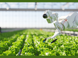 Agriculture durable : Rabat et Canberra s'allient face au défi climatique