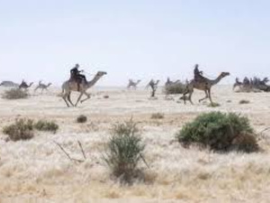 Mort dans le désert : un retraité français disparaît au Tchad