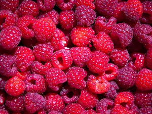 64 700 tonnes : le Maroc voit rouge… framboise 64 700 tonnes : le Maroc voit rouge… framboise