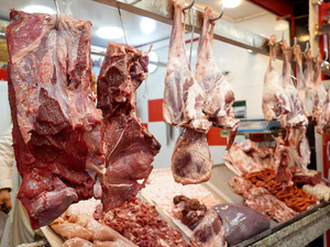 Casablanca : les abattoirs signent une performance record malgré la crise de la viande rouge Casablanca : les abattoirs signent une performance record malgré la crise de la viande rouge