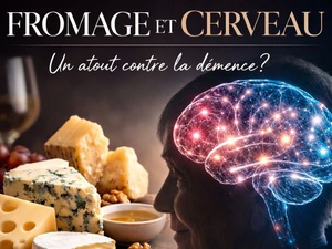 Fromage et cerveau : une étude ouvre la piste d’un rôle protecteur contre la démence