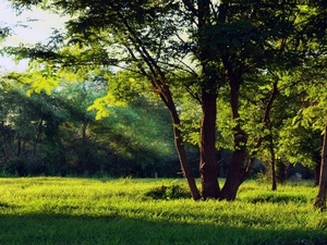 Ramadan : Dar Bouazza inaugure deux nouveaux espaces vergers pour offrir des lieux de respiration urbaine