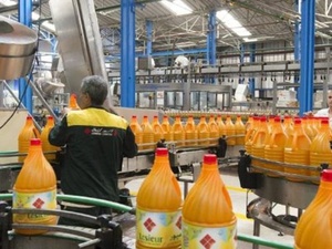 2025 : Lesieur Cristal stabilise son chiffre d’affaires à 5,39 MMDH