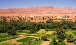 ​Réforme des terres des collectivités Soulaliyates: le gouvernement adopte deux décrets