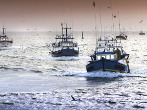 Maroc–Russie : l’accord de pêche entre en vigueur sur le terrain