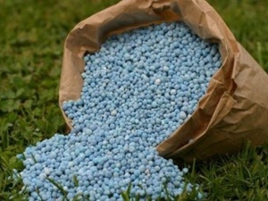  Le Maroc s’impose comme fournisseur clé d’engrais et de légumes pour l’UE 