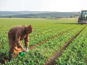Agriculture marocaine : l’ADA lance un appel à projets pour structurer 20 alliances productives Agriculture marocaine : l’ADA lance un appel à projets pour structurer 20 alliances productives