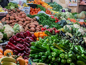 L'offensive verte : Le Maroc conquiert les marchés européens des engrais et légumes L'offensive verte : Le Maroc conquiert les marchés européens des engrais et légumes